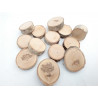 kolečko s kůrou 2-4 cm, bříza