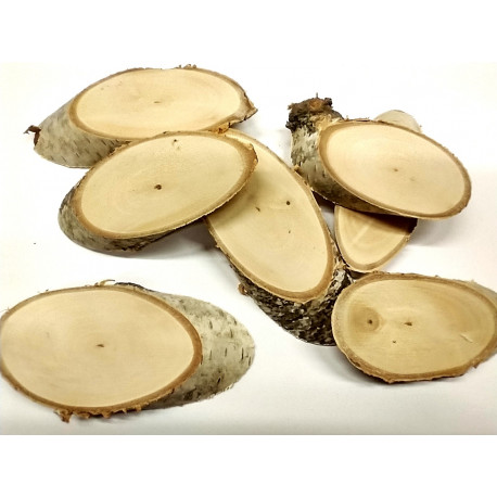 kolečko s kůrou, elipsa, bříza