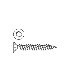 vrut zápustný TORX celozávit