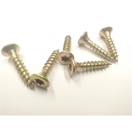 vrut zápustný TORX celozávit